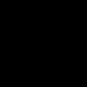 Meet your Posher, Melody